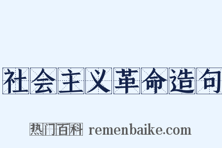 社会主义革命造句是什么意思的图片